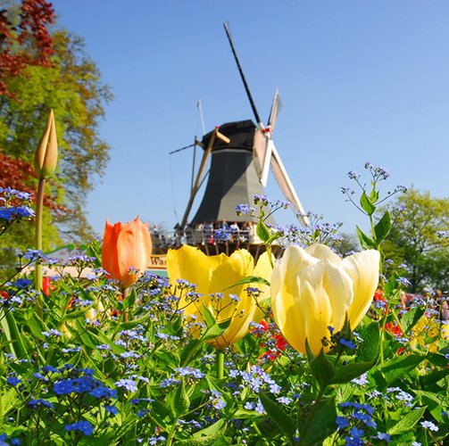 De mooiste marathons in Nederland